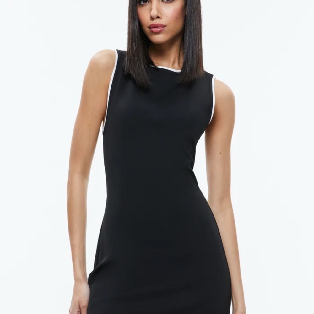 Alice + Olivia Black Dress